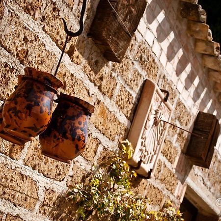 Country House La Cipolla D'Oro Potenza Picena Exteriör bild